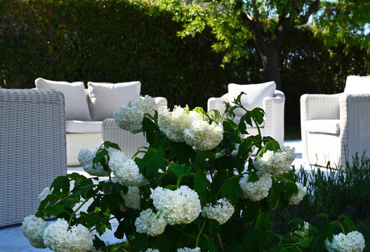 Aura Relais Bed & Breakfast Numana Exterior photo