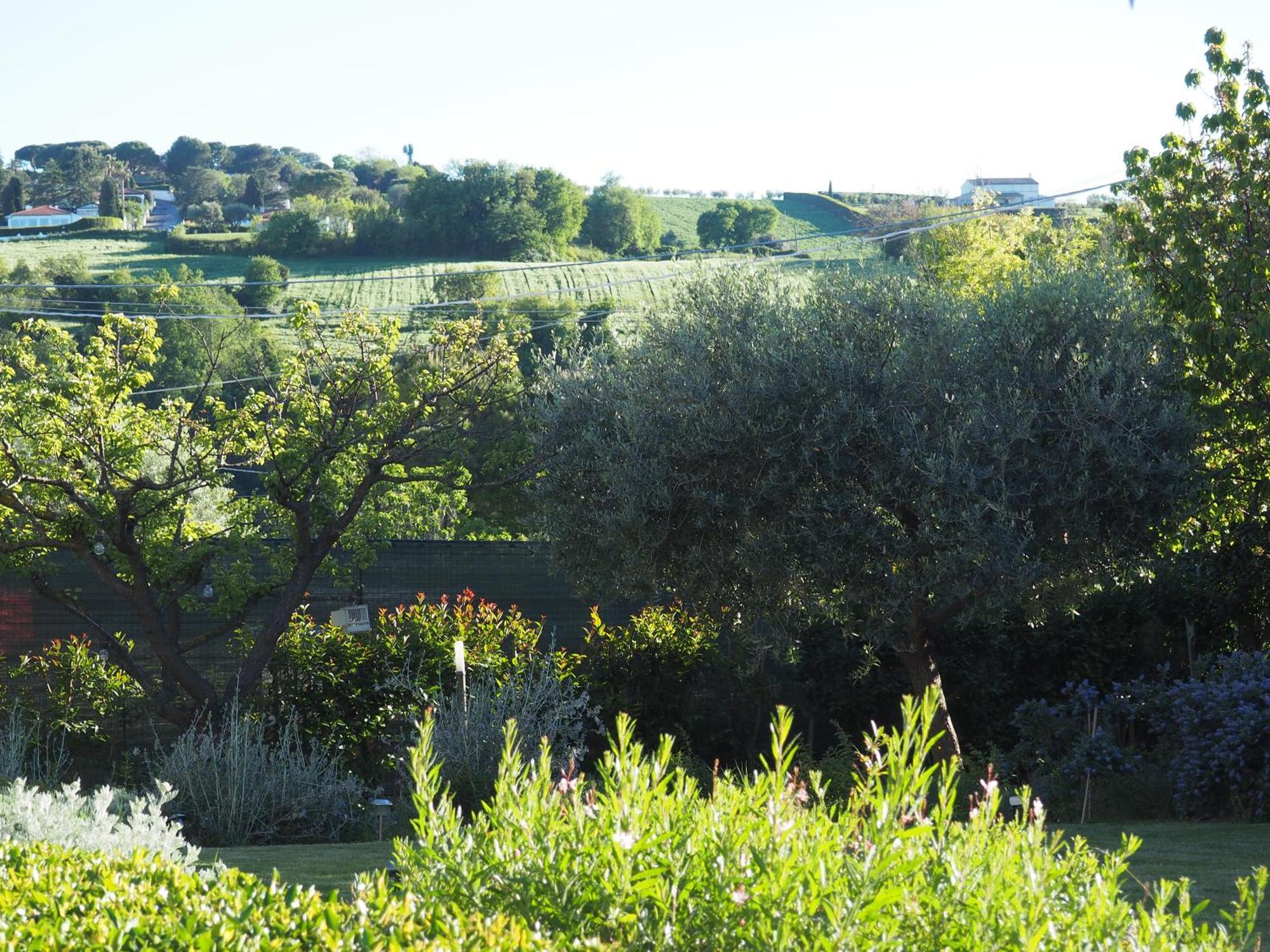 Aura Relais Bed & Breakfast Numana Exterior photo
